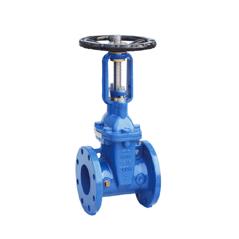 AWWA FLANGED RESILIENT OS&Y GATE VALVE