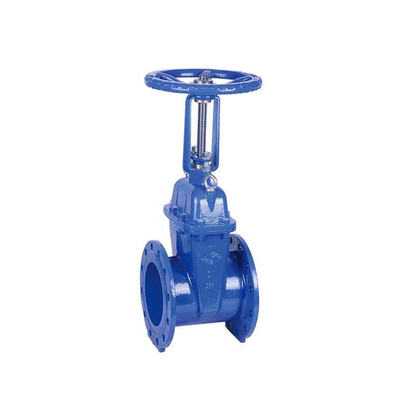 BS FLANGED RESILIENT OS&Y GATE VALVE
