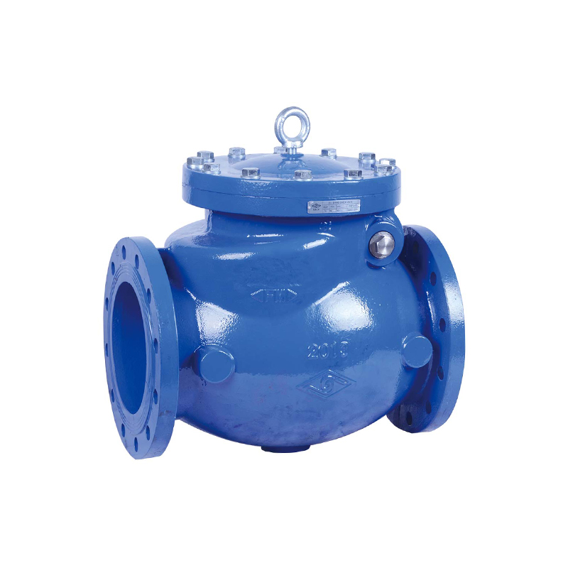 BS FLANGED SWING CHECK VALVE